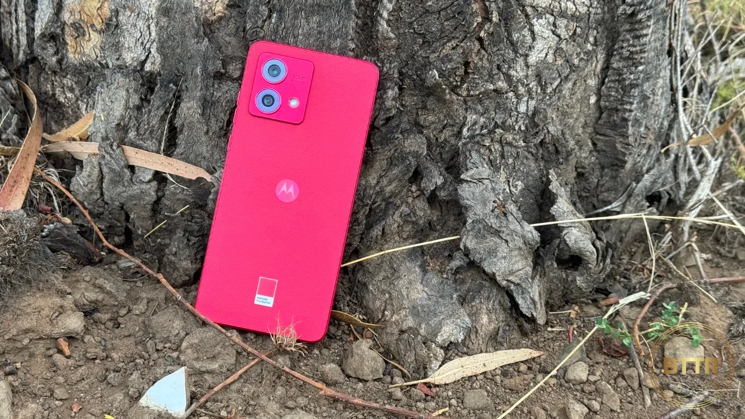 The Moto G84 5G leaning against a tree