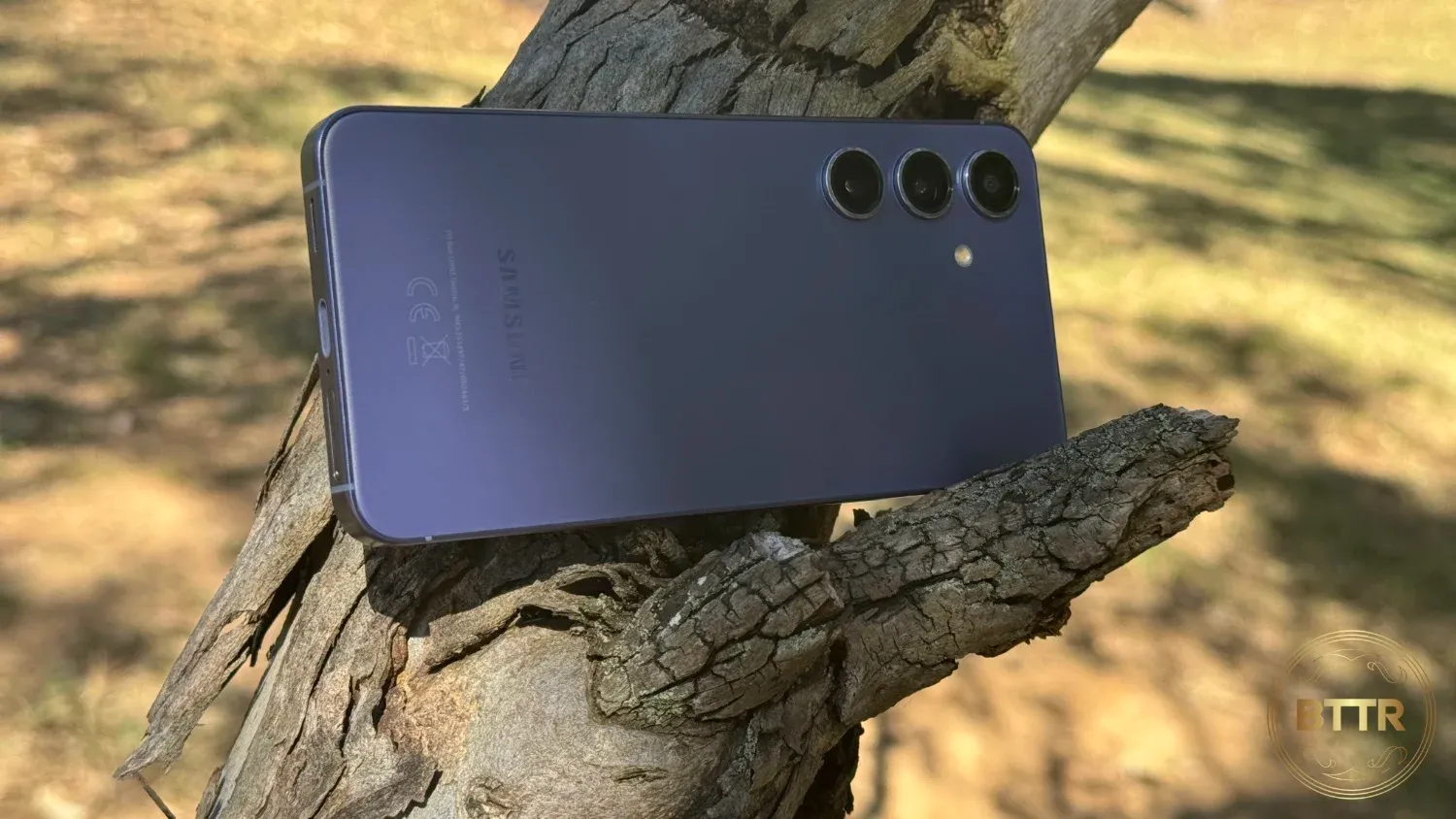 The S24 in a tree, looking at the back of the phone