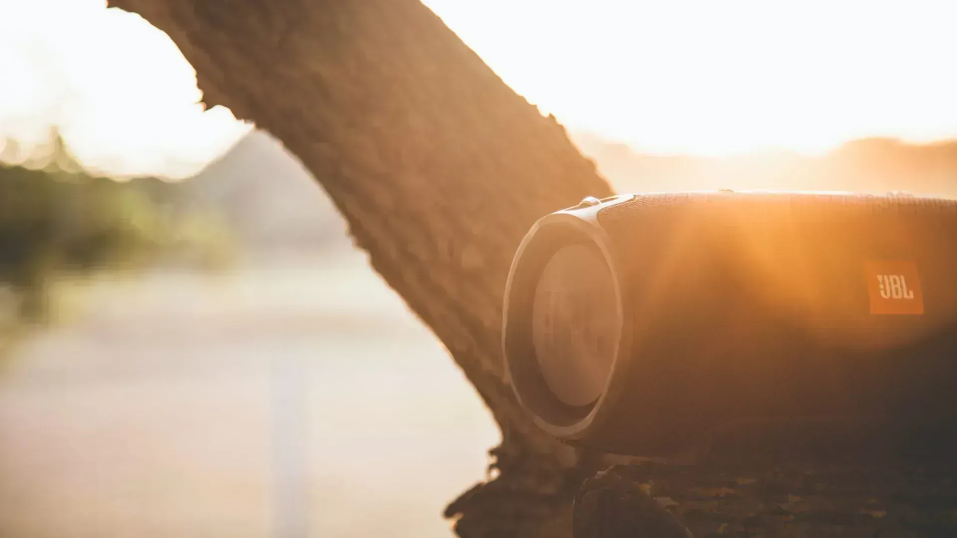 The JBL Charge speaker in a tree at sunset