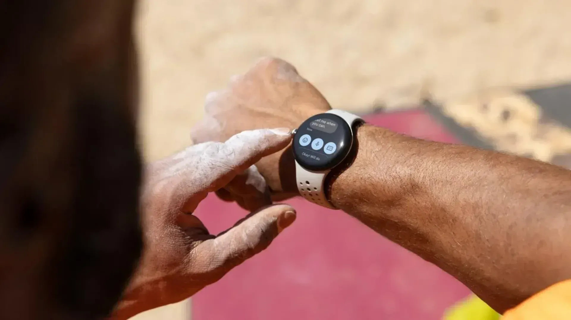 Pixel Watch 2 on the wrist