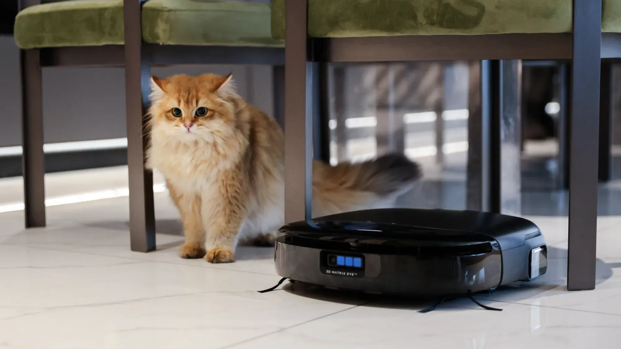 The eufy S1 Pro under a table next to a kitten