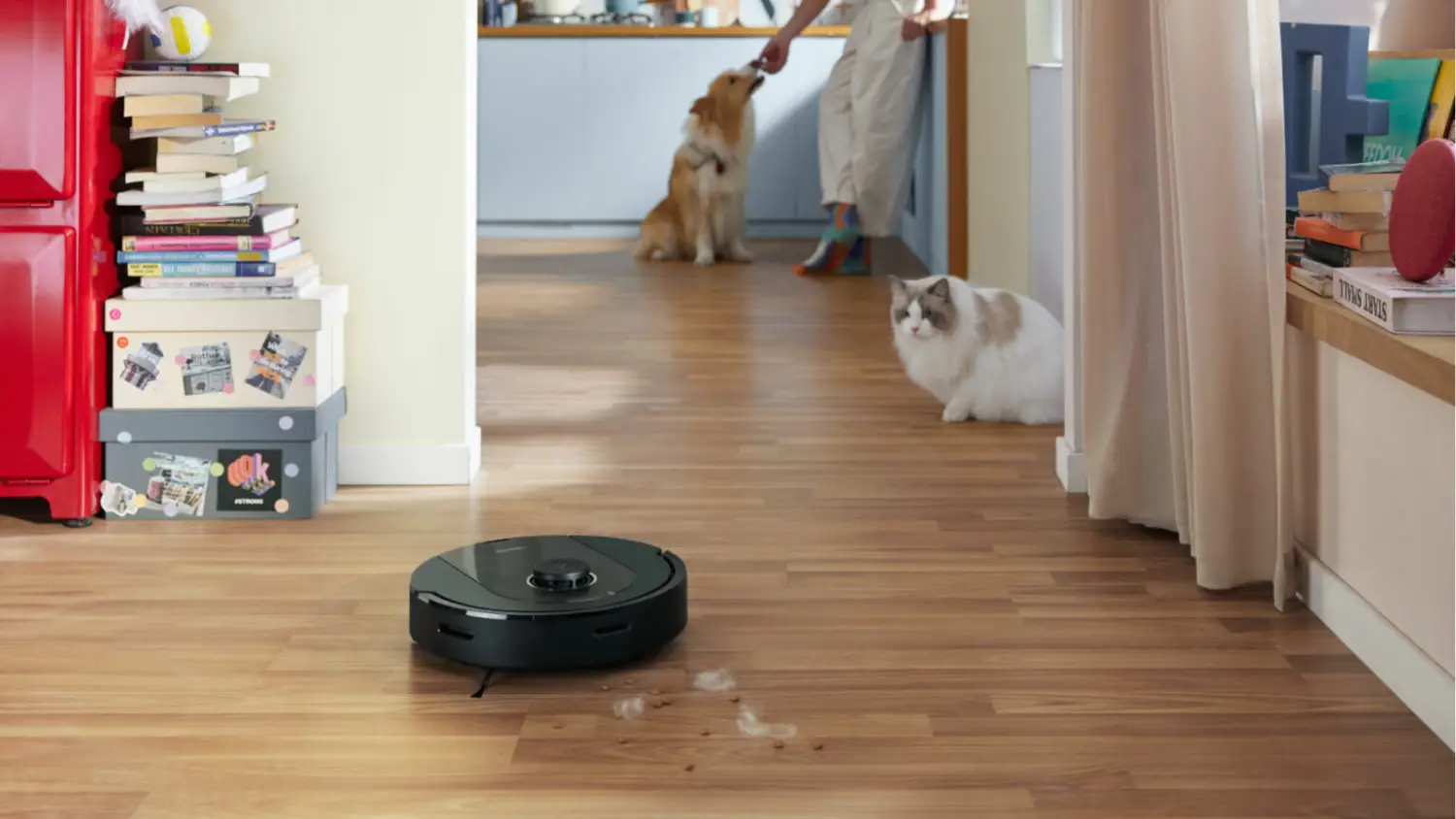 The Roborock Q5 Pro vacuuming pet hair with a cat watching suspiciously.