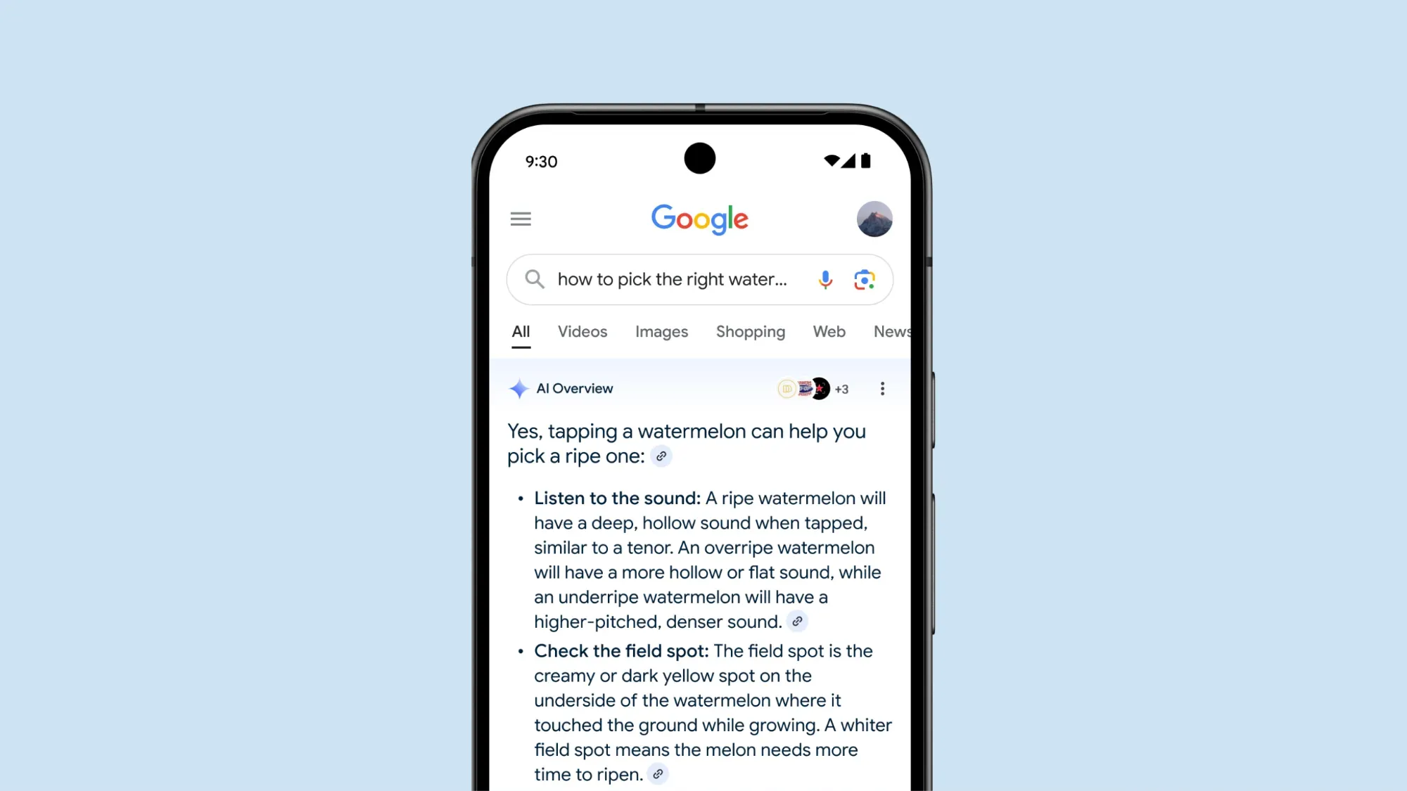 A screenshot of Google's AI overview feature on a mobile device.