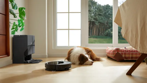 The Roborock S8 MaxV Ultra vacuuming around a dog.