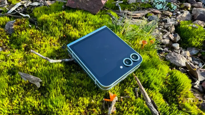 The Galaxy Z Flip6 on a bed of moss, folded, looking at the external screen